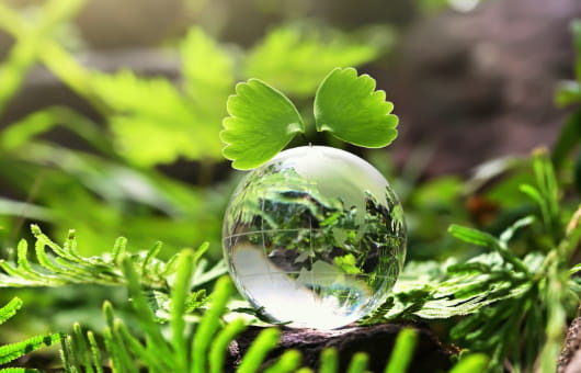 サステナビリティ